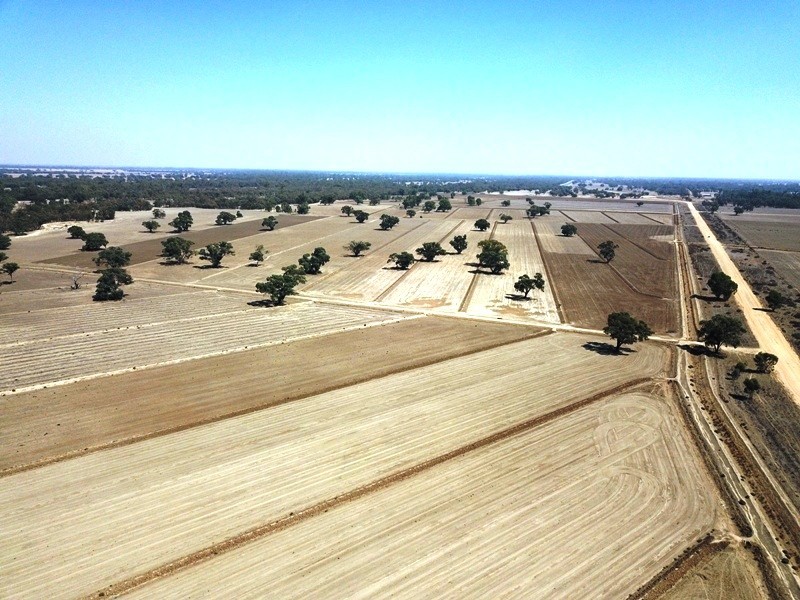 42 Calimo Road, Deniliquin NSW 2710