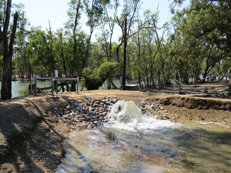42 Calimo Road, Deniliquin NSW 2710