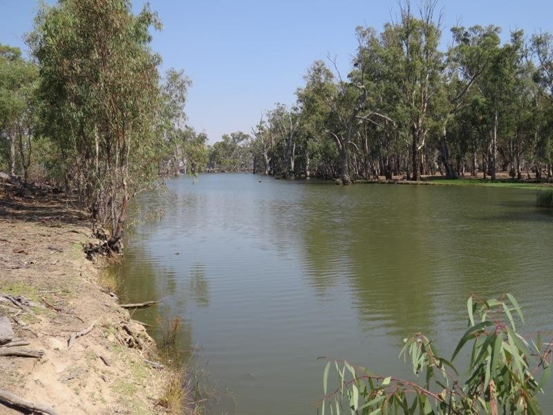 42 Calimo Road, Deniliquin NSW 2710
