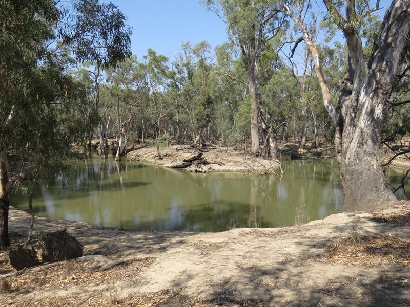 42 Calimo Road, Deniliquin NSW 2710
