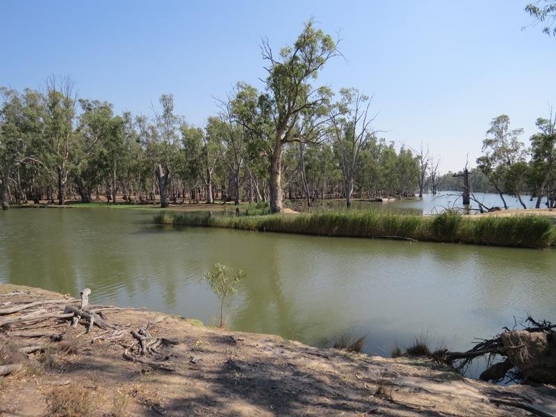 42 Calimo Road, Deniliquin NSW 2710
