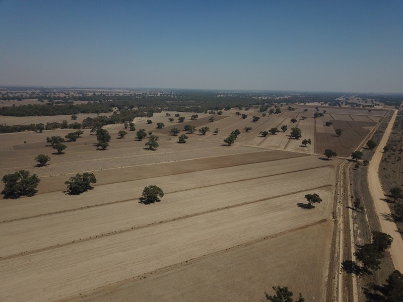42 Calimo Road, Deniliquin NSW 2710