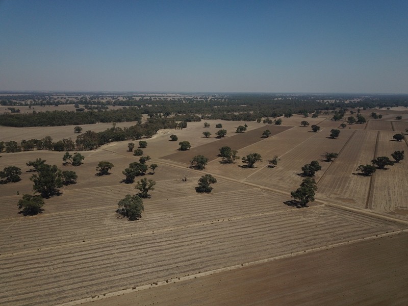42 Calimo Road, Deniliquin NSW 2710