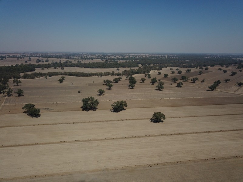 42 Calimo Road, Deniliquin NSW 2710