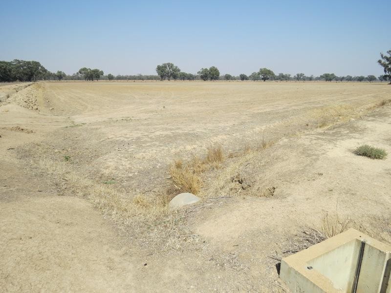 42 Calimo Road, Deniliquin NSW 2710