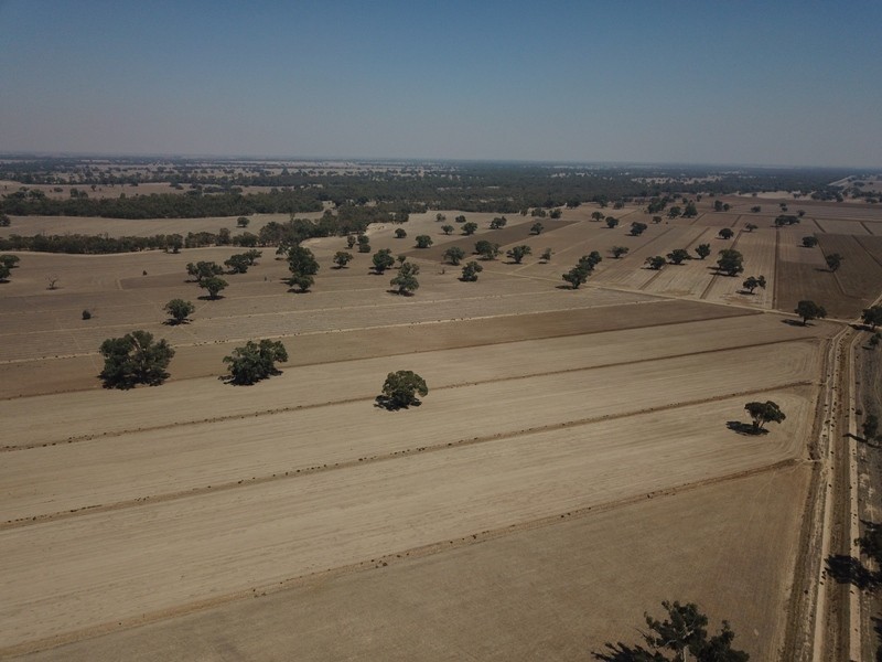 42 Calimo Road, Deniliquin NSW 2710