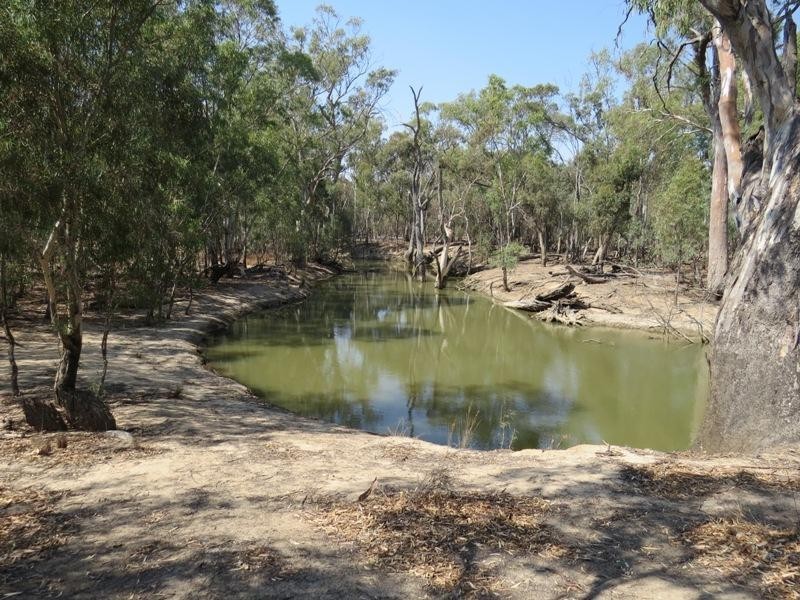 42 Calimo Road, Deniliquin NSW 2710