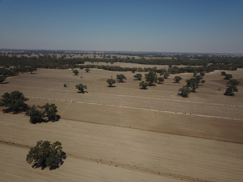 42 Calimo Road, Deniliquin NSW 2710