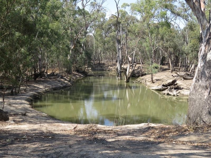 42 Calimo Road, Deniliquin NSW 2710