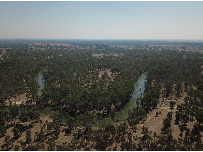 42 Calimo Road, Deniliquin NSW 2710