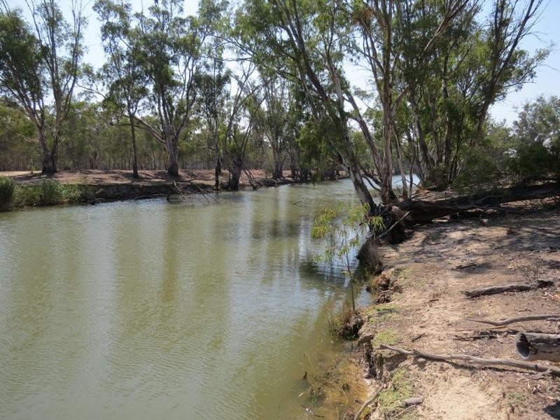 42 Calimo Road, Deniliquin NSW 2710