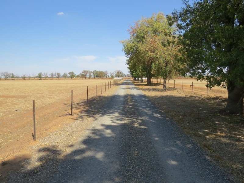 728 Plumptons Road, Finley NSW 2713