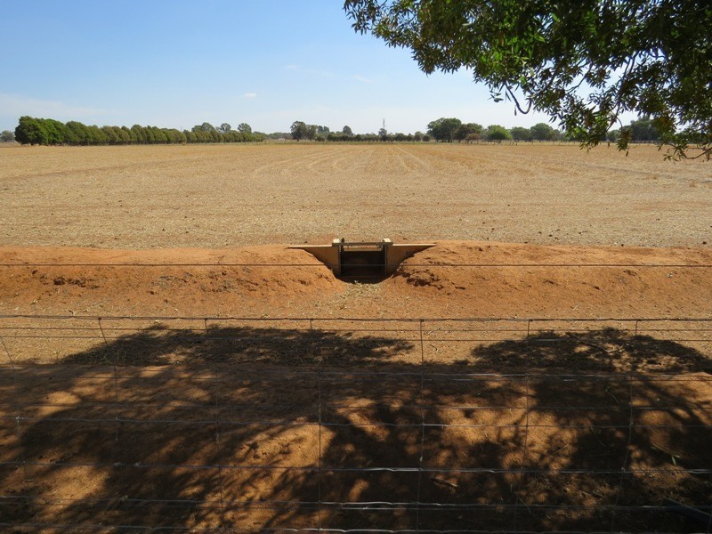 728 Plumptons Road, Finley NSW 2713