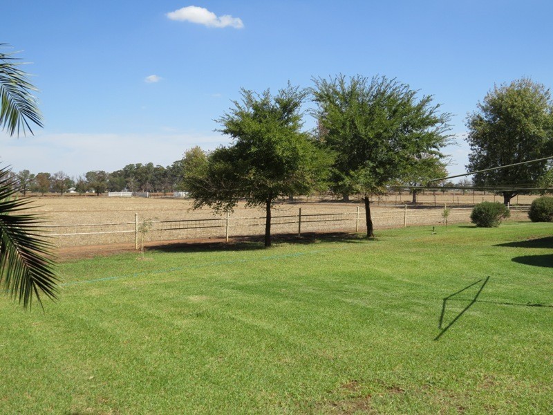 728 Plumptons Road, Finley NSW 2713