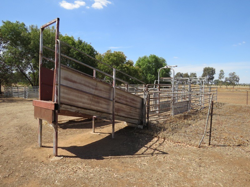 728 Plumptons Road, Finley NSW 2713