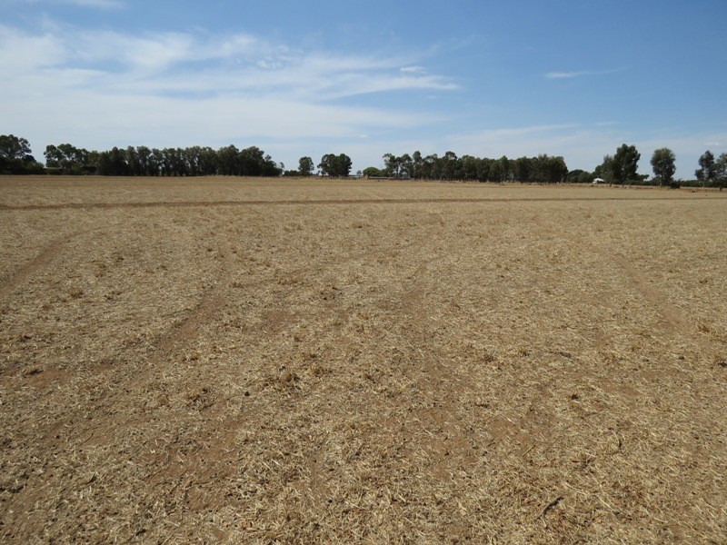 728 Plumptons Road, Finley NSW 2713