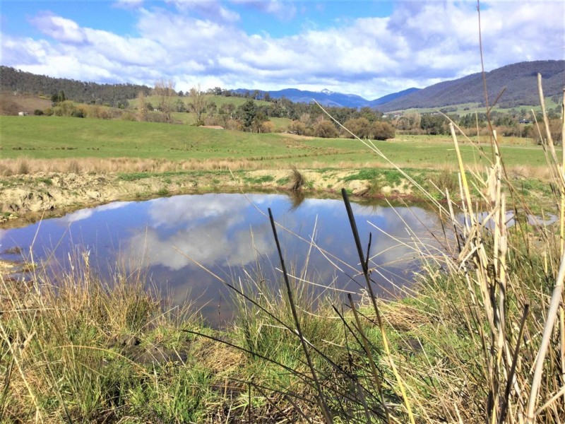 199A Reids Lane, Tawonga VIC 3697