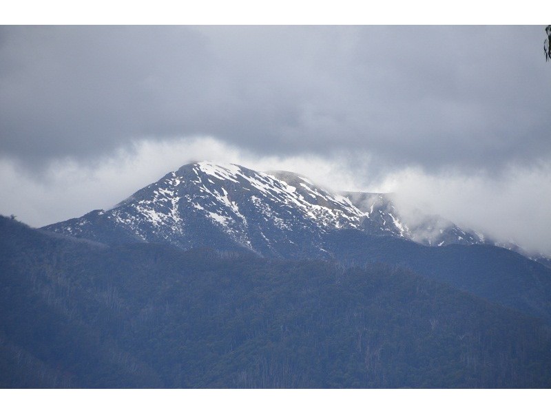 31 Heberles Road, Tawonga South VIC 3698