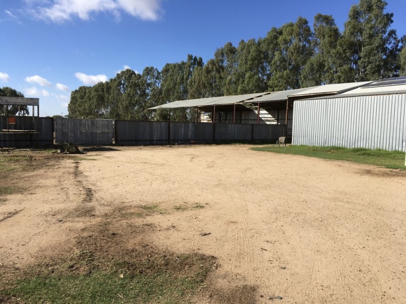 623 Barnes Road, Finley NSW 2713