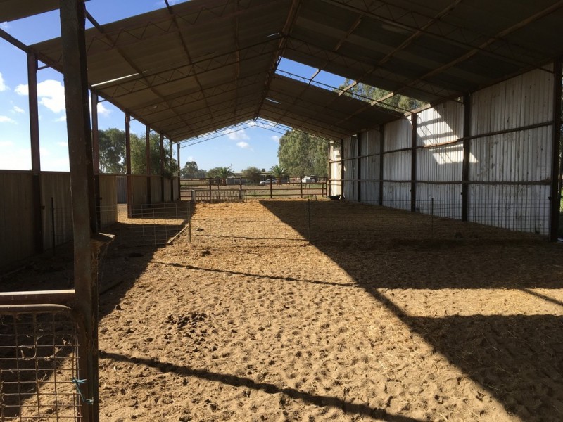 623 Barnes Road, Finley NSW 2713