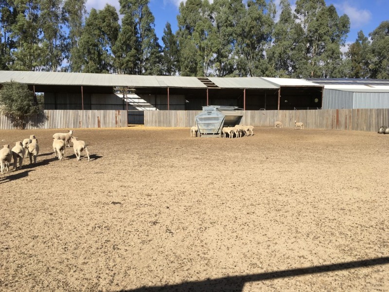 623 Barnes Road, Finley NSW 2713