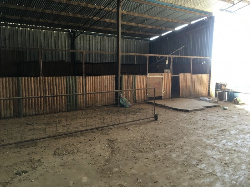 623 Barnes Road, Finley NSW 2713