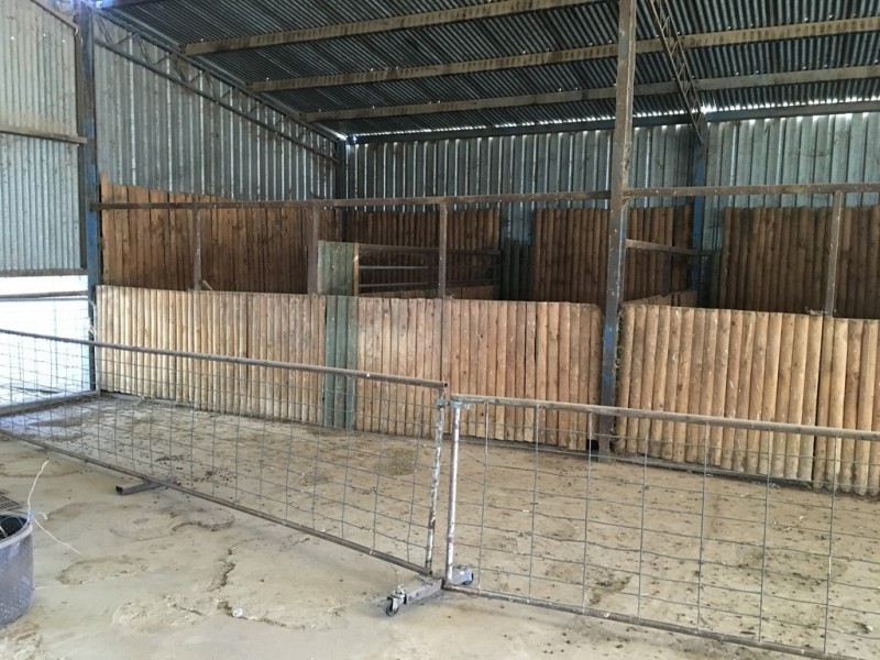 623 Barnes Road, Finley NSW 2713