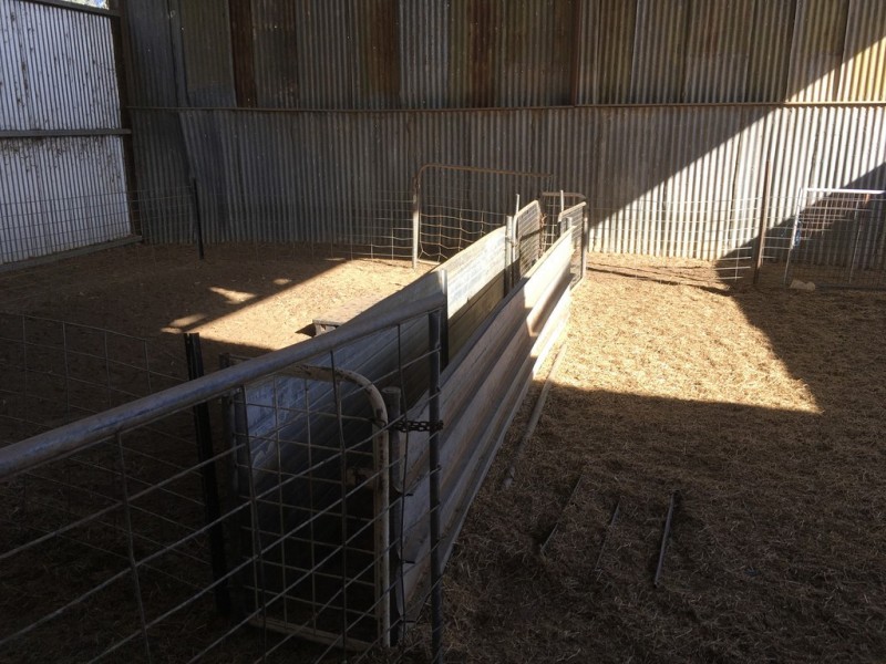 623 Barnes Road, Finley NSW 2713