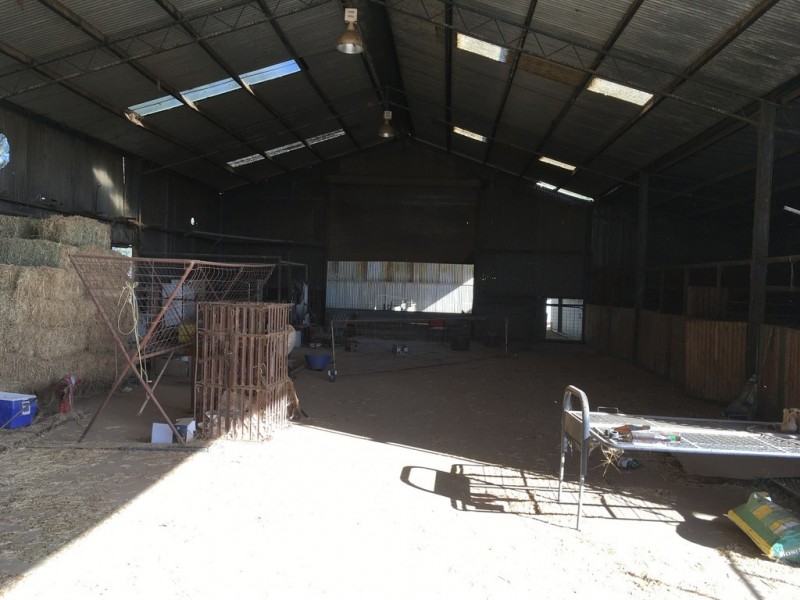 623 Barnes Road, Finley NSW 2713