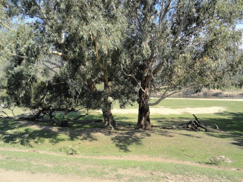 5455 River Road, Talmalmo NSW 2640