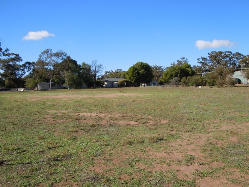 113 Pine Hill Road, Narrandera NSW 2700