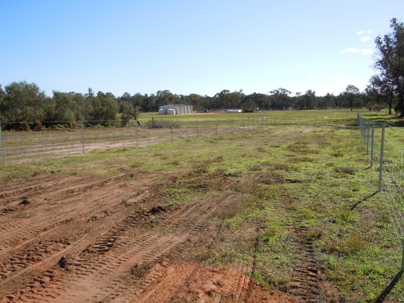 113 Pine Hill Road, Narrandera NSW 2700