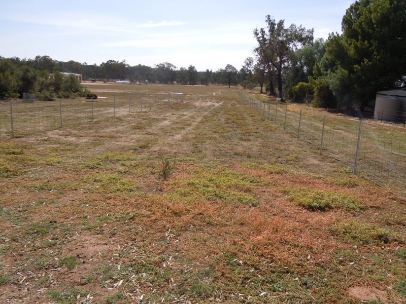 113 Pine Hill Road, Narrandera NSW 2700