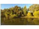 543 Curlew Rd, Lake Cargelligo NSW 2672