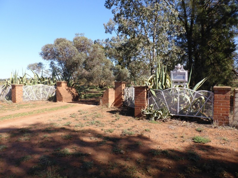 543 Curlew Rd, Lake Cargelligo NSW 2672