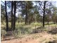 543 Curlew Rd, Lake Cargelligo NSW 2672