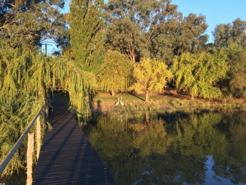 543 Curlew Rd, Lake Cargelligo NSW 2672