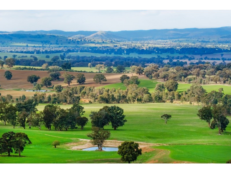 Aberfeldy Hume Highway, Holbrook NSW 2644