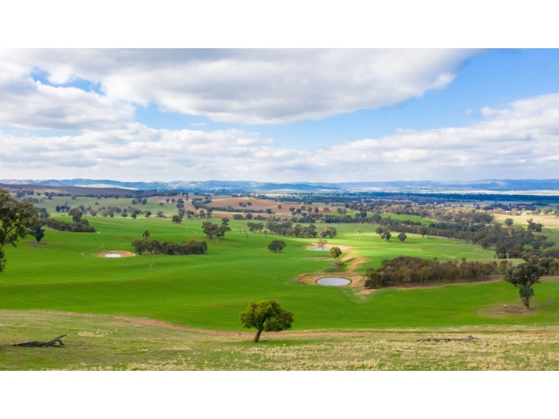 Aberfeldy Hume Highway, Holbrook NSW 2644