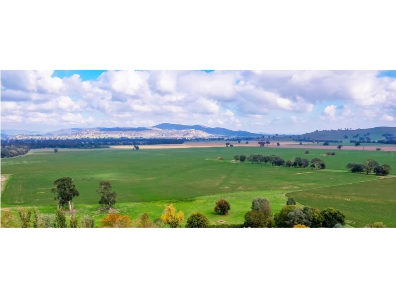 Aberfeldy Hume Highway, Holbrook NSW 2644