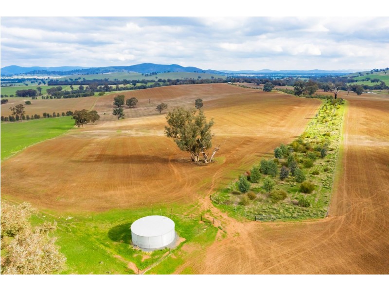 Aberfeldy Hume Highway, Holbrook NSW 2644