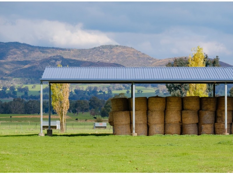 Aberfeldy Hume Highway, Holbrook NSW 2644