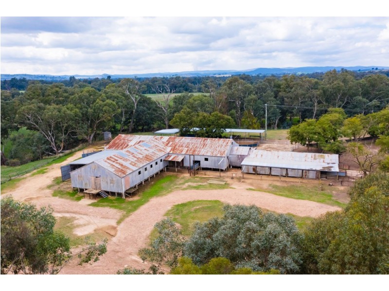 Aberfeldy Hume Highway, Holbrook NSW 2644