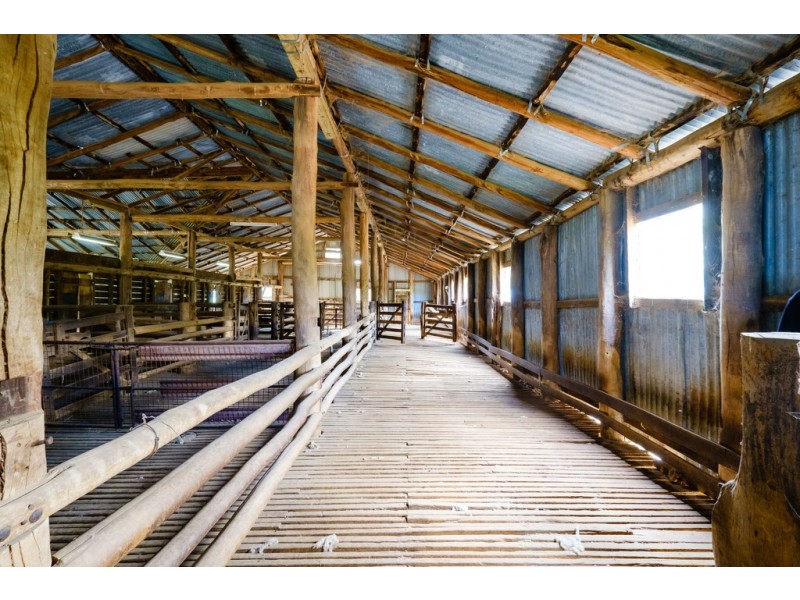 Aberfeldy Hume Highway, Holbrook NSW 2644