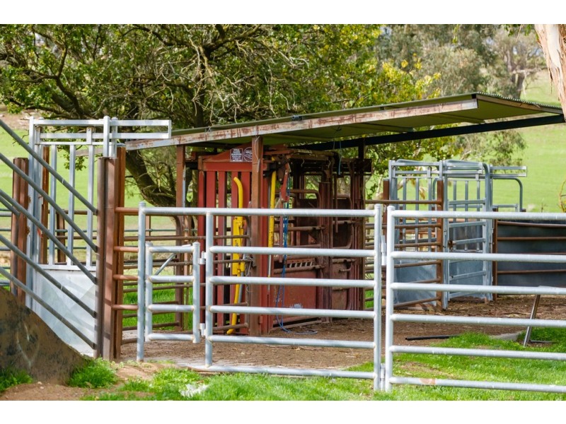 Aberfeldy Hume Highway, Holbrook NSW 2644