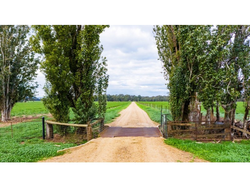 Aberfeldy Hume Highway, Holbrook NSW 2644