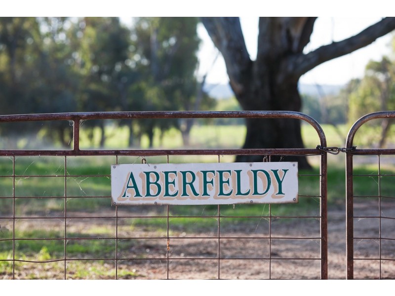 Aberfeldy Hume Highway, Holbrook NSW 2644