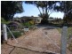 339 Pine Hill Road, Narrandera NSW 2700
