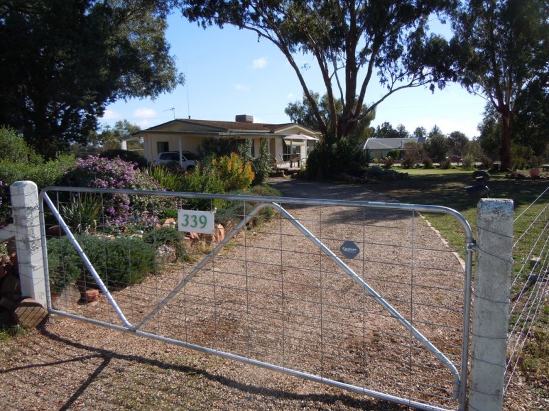 339 Pine Hill Road, Narrandera NSW 2700