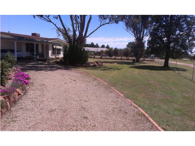 339 Pine Hill Road, Narrandera NSW 2700